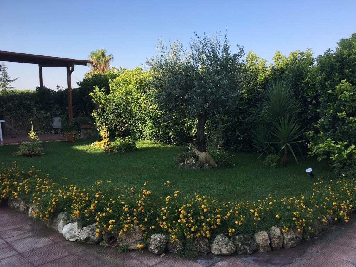 ***** La Casa Di Gio Lejlighed Caltanissetta Eksteriør billede
