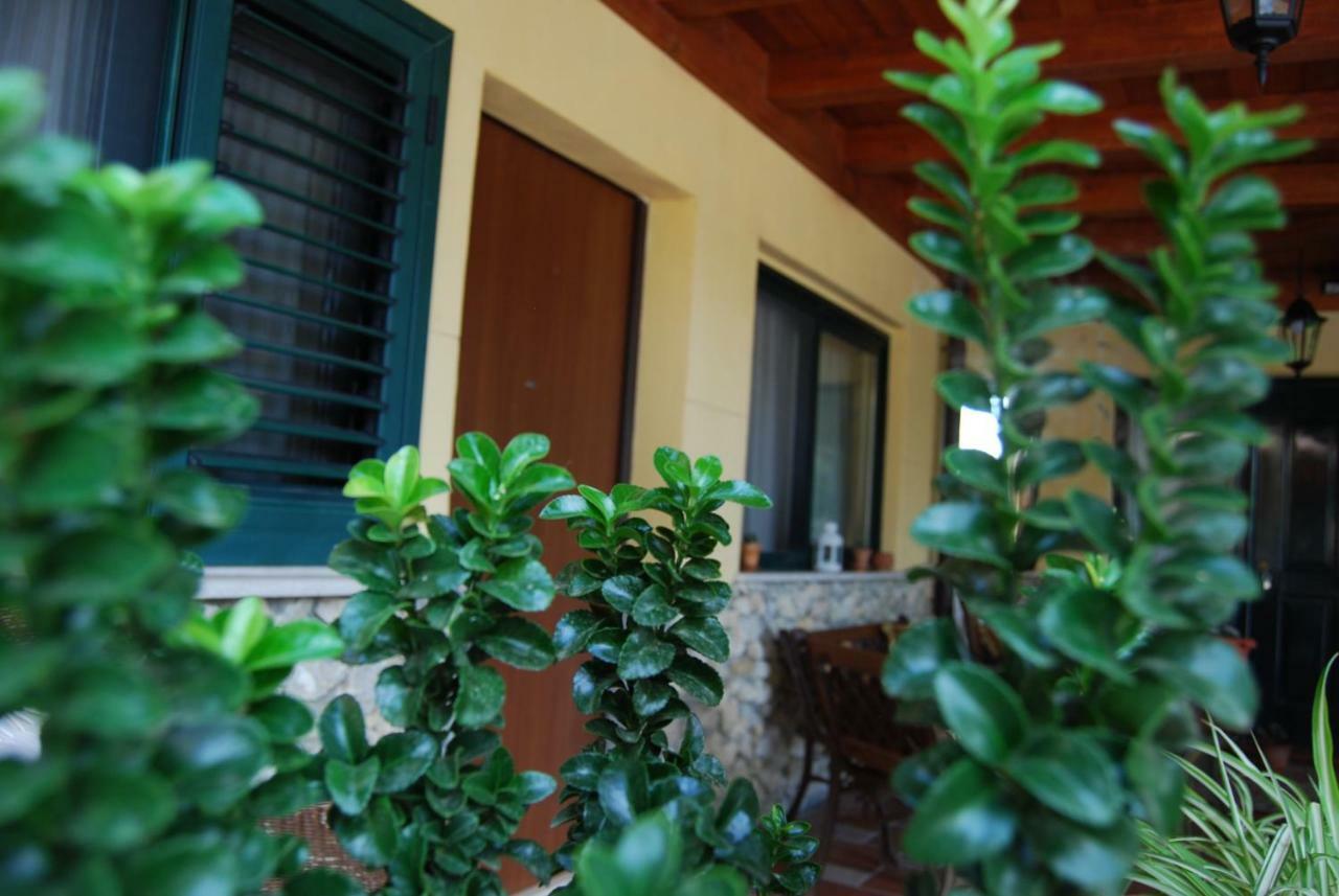 ***** La Casa Di Gio Lejlighed Caltanissetta Eksteriør billede